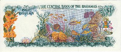 Beschrijving achterzijde: FISH